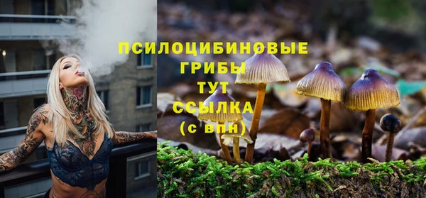 герыч Заводоуковск