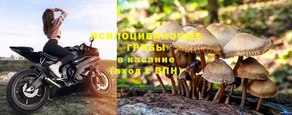 герыч Заводоуковск