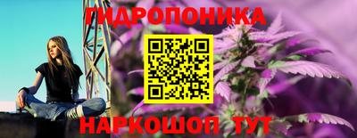 мдпв Малоярославец