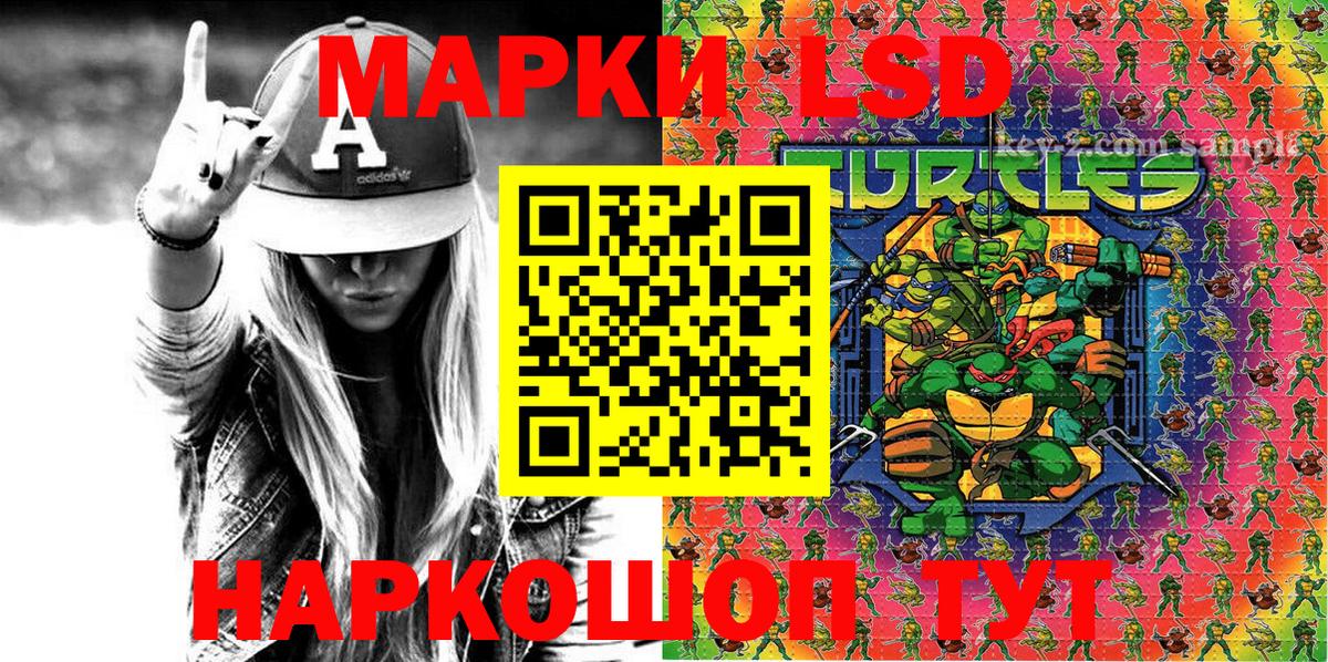 где можно купить наркотик  Марки NBOMe 1500мкг  Марки NBOMe 1500мкг  Вход с VPN  Каменка 