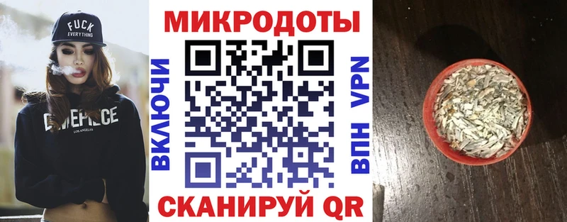где купить наркотик  Каменка  Галлюциногенные грибы Psilocybe 