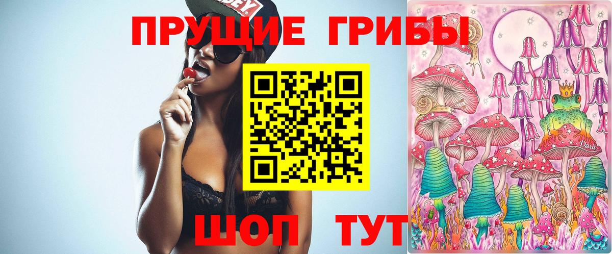 Галлюциногенные грибы Psilocybine cubensis Каменка