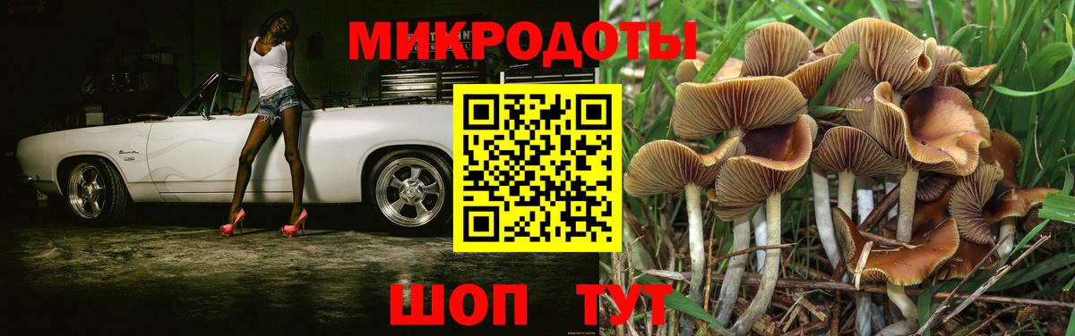 Каменка  Галлюциногенные грибы Psilocybe  Вход с VPN  даркнет сайт  Галлюциногенные грибы Psilocybine cubensis 